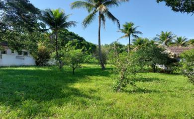 Fazenda à venda com 1 quarto, 1800m² - Foto 1