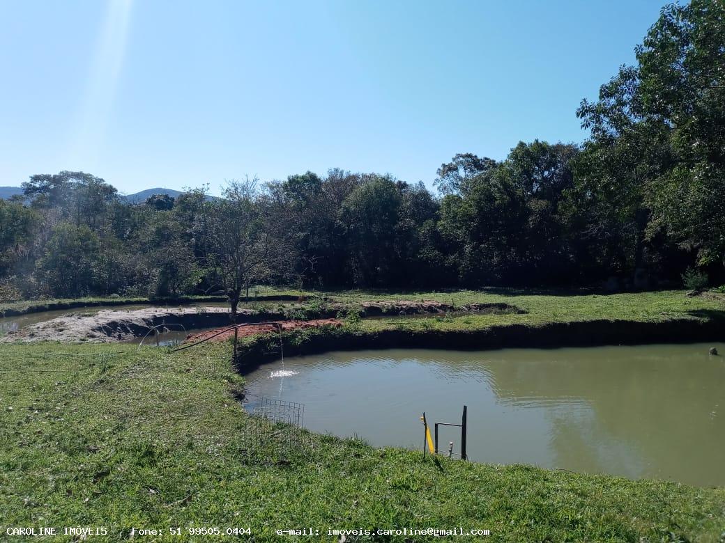 Fazenda à venda com 2 quartos, 180000m² - Foto 3