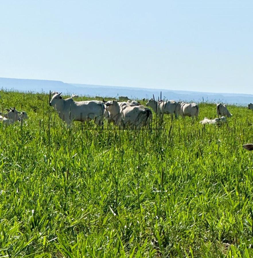 Fazenda à venda, 2856m² - Foto 19