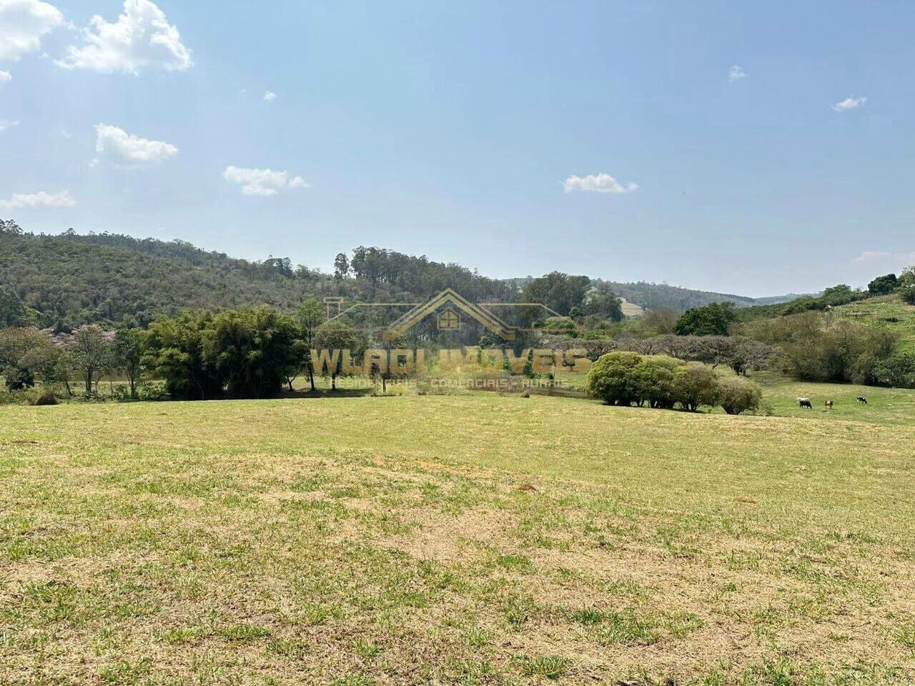 Fazenda à venda com 3 quartos, 14m² - Foto 8