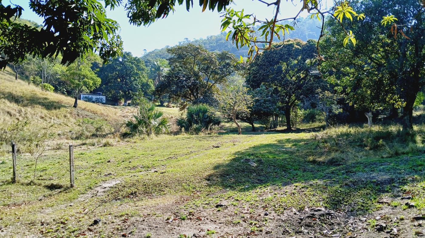 Fazenda à venda com 3 quartos, 100000m² - Foto 18