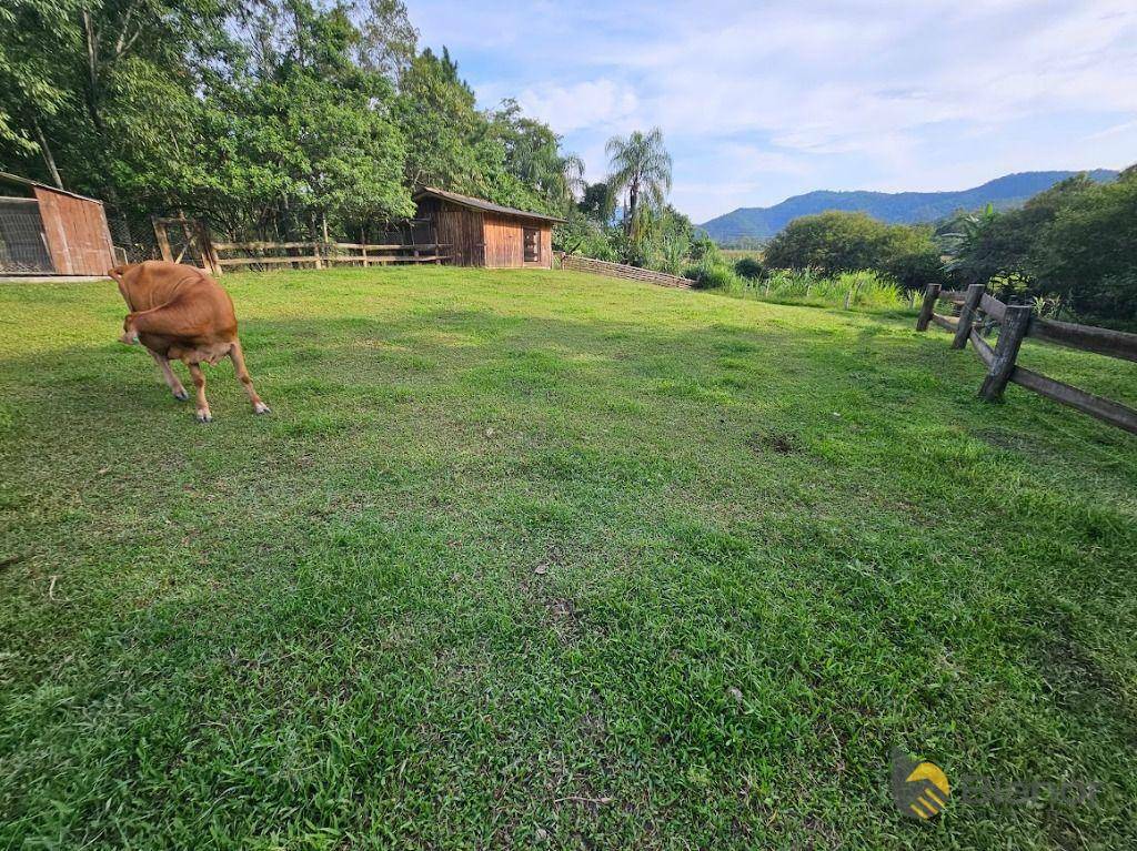 Chácara à venda com 3 quartos, 200m² - Foto 42