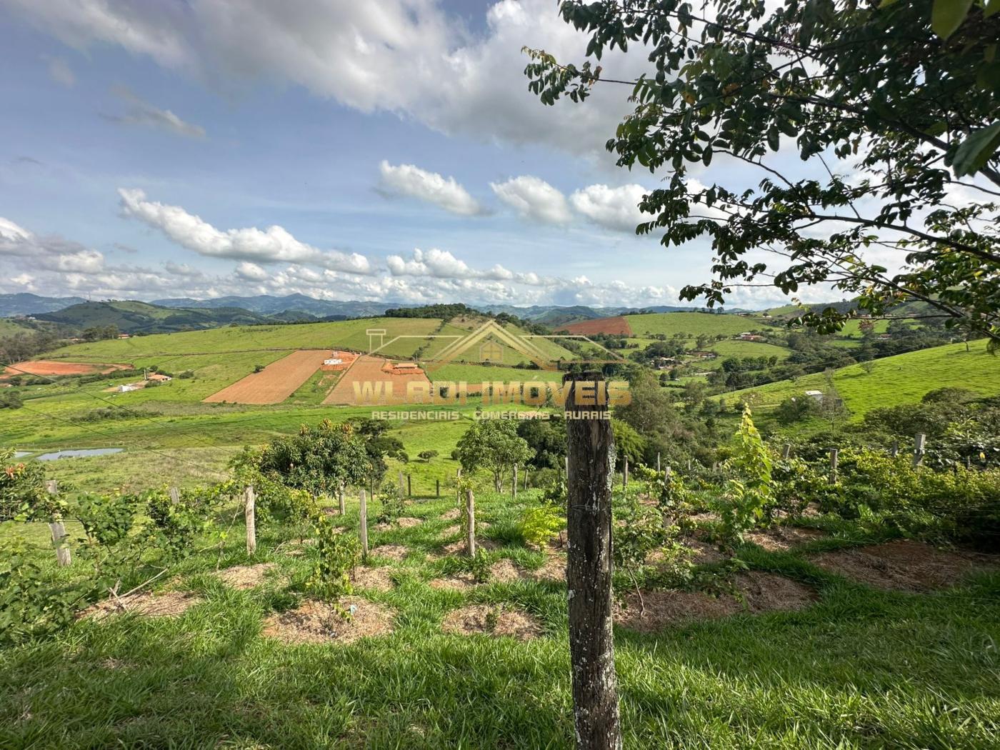 Fazenda à venda com 3 quartos, 52000m² - Foto 42