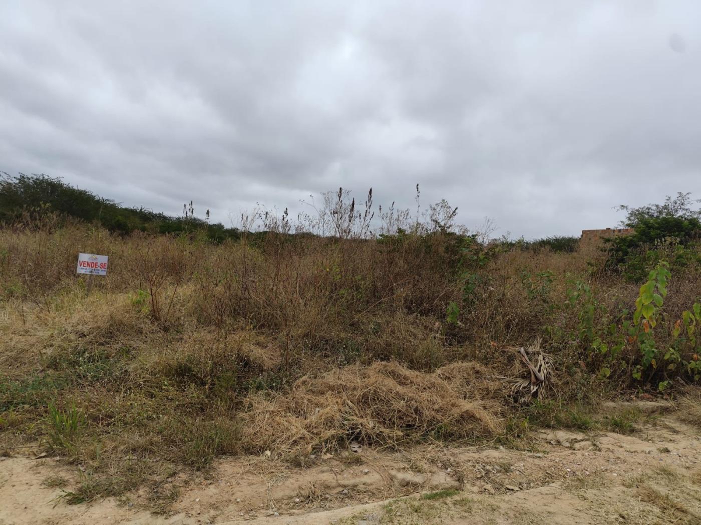 Terreno à venda, 2500m² - Foto 2