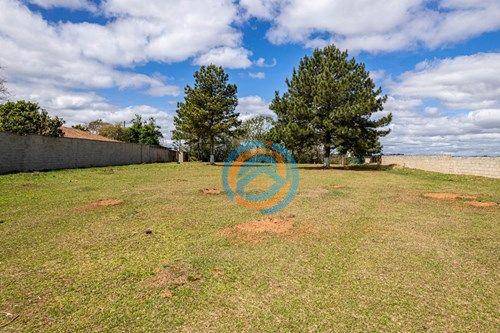 Terreno, 3300 m² - Foto 13