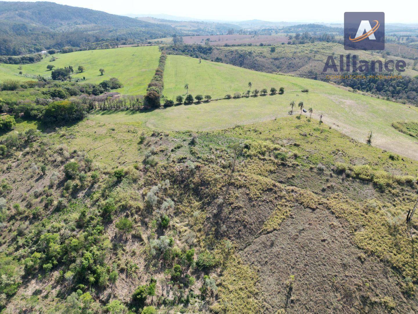 Terreno, 91 hectares - Foto 1