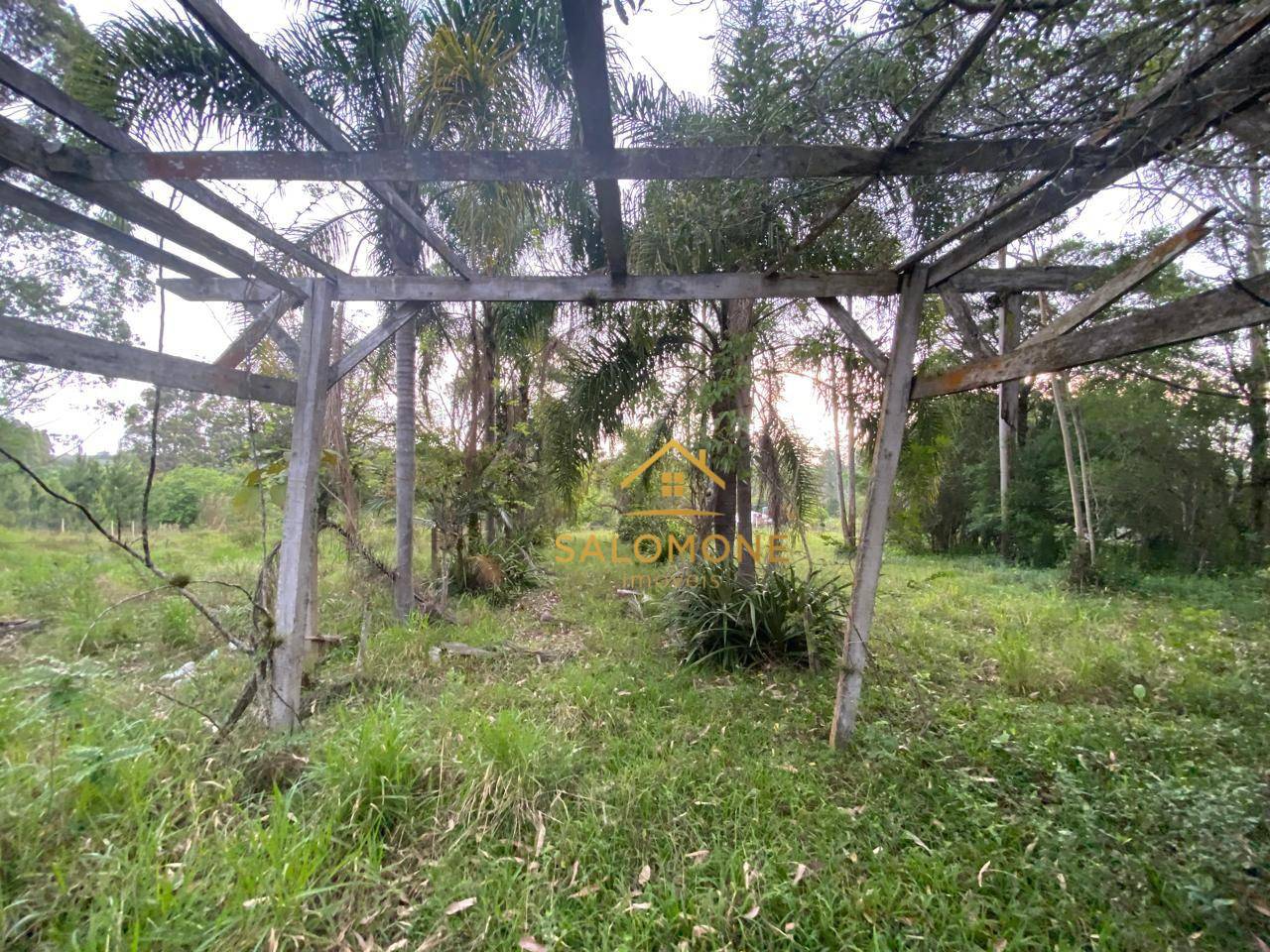 Terreno, 1500 m² - Foto 2