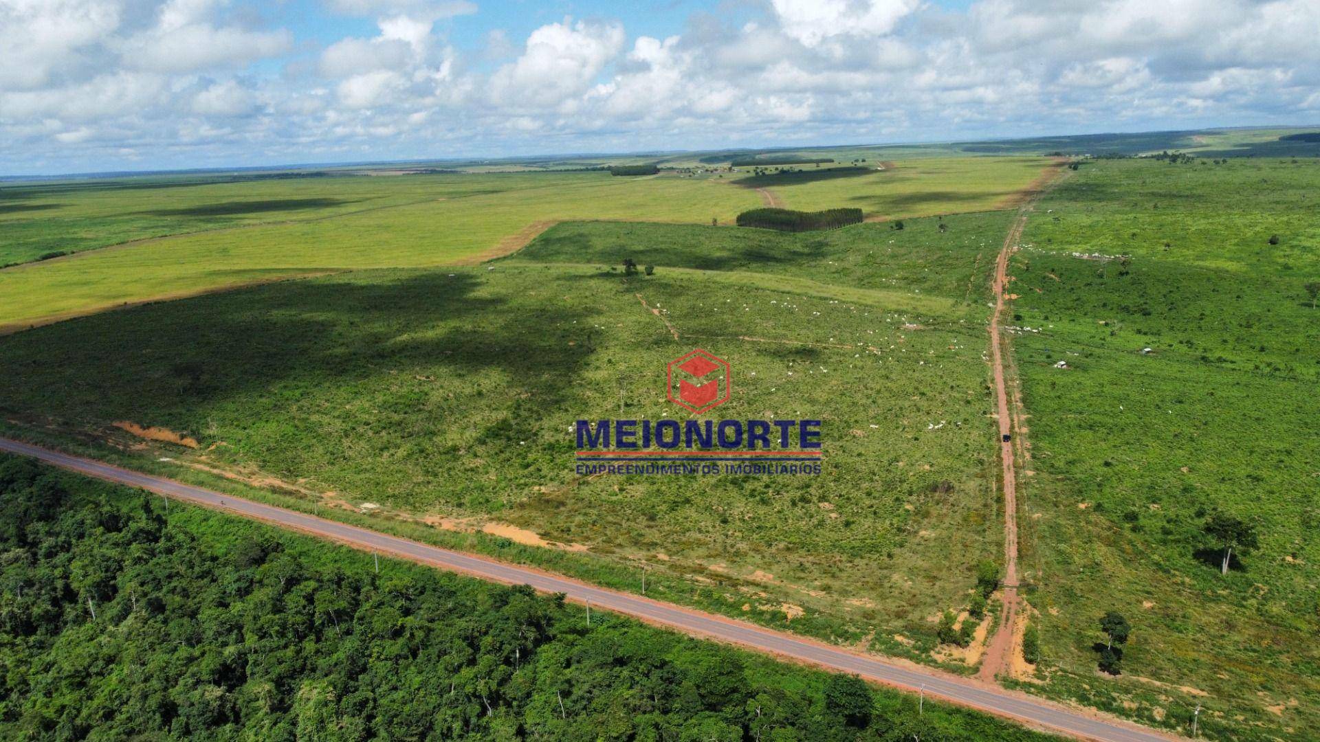 Fazenda à venda com 4 quartos, 4800000M2 - Foto 6