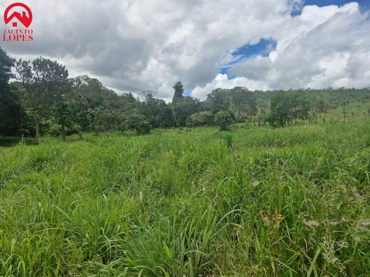 Fazenda à venda com 2 quartos, 120m² - Foto 14