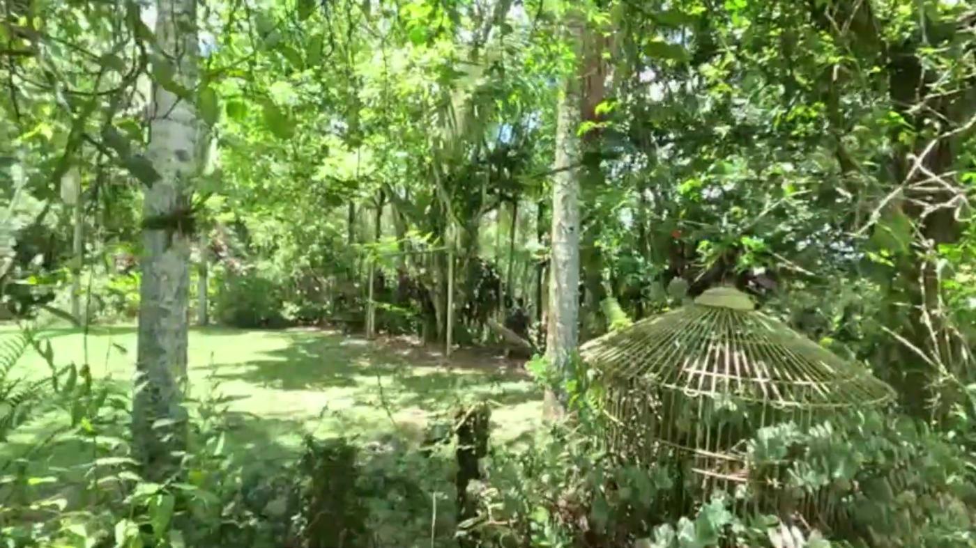 Sítio à venda com 8 quartos, 20000m² - Foto 37