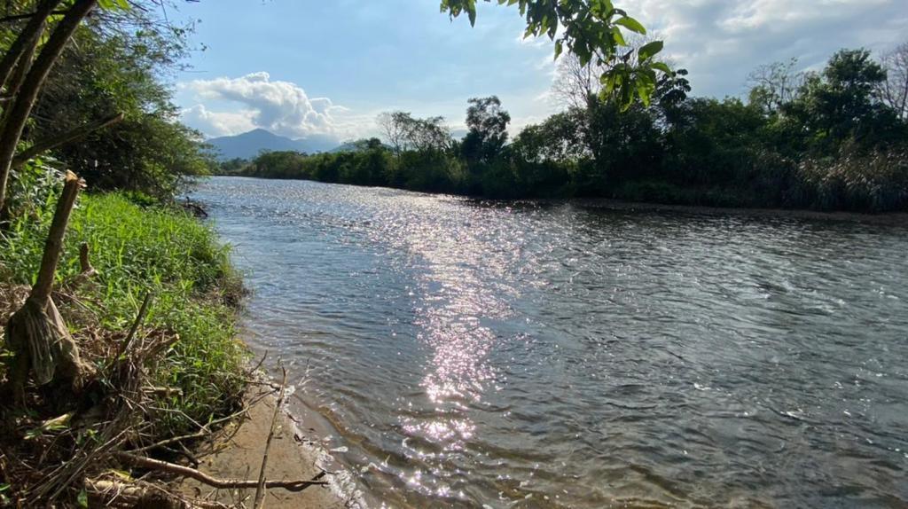 Fazenda-Sítio-Chácara, 1 hectares - Foto 1