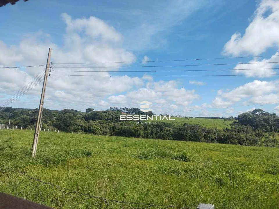 Sítio à venda com 3 quartos, 30250M2 - Foto 6