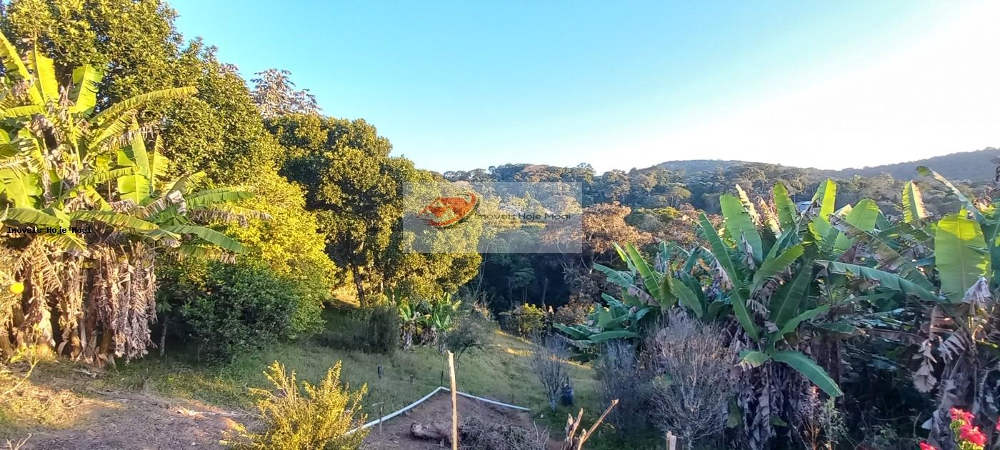Chácara à venda com 2 quartos, 3000m² - Foto 43