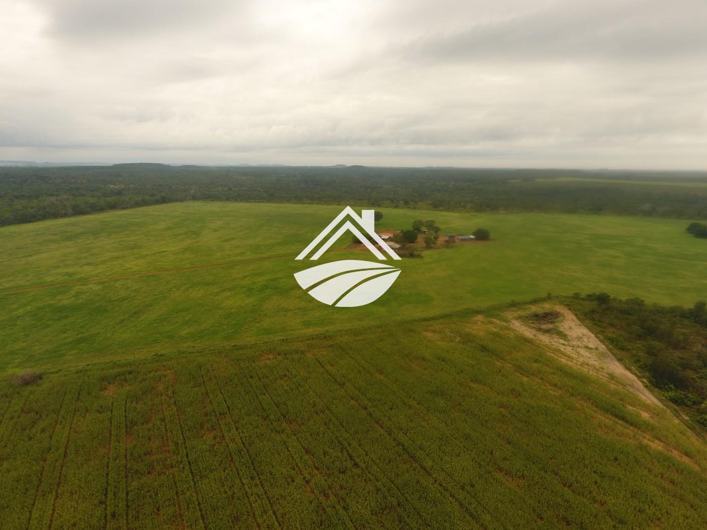 Fazenda à venda, 1m² - Foto 2