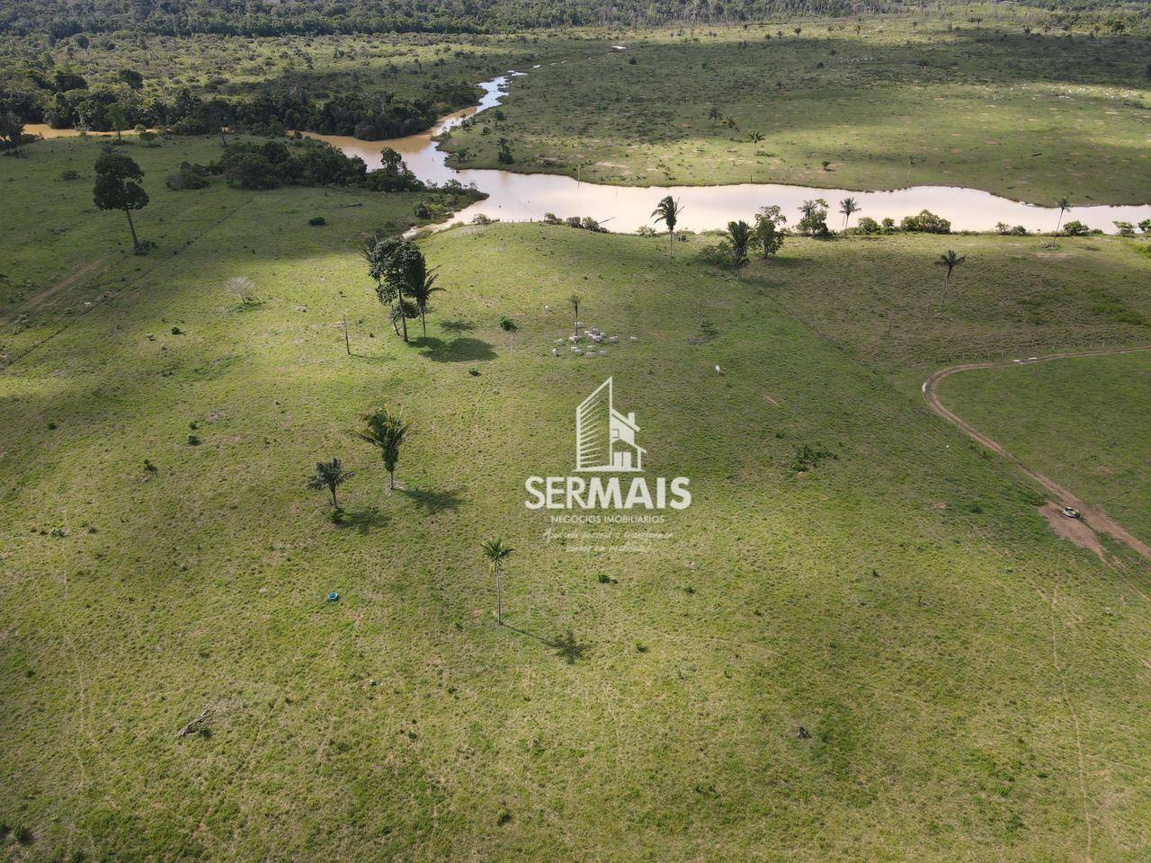 Fazenda à venda, 2560000M2 - Foto 2