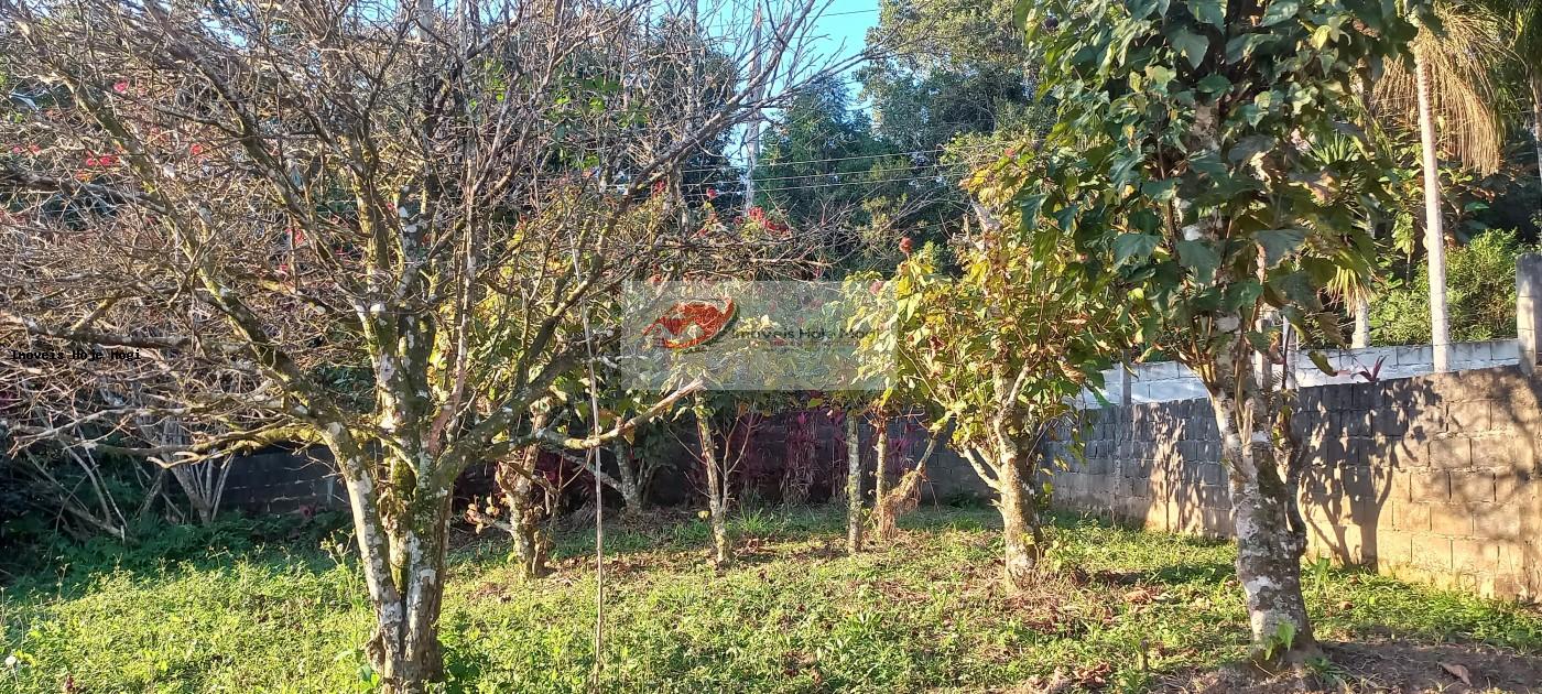 Chácara à venda com 2 quartos, 3000m² - Foto 7