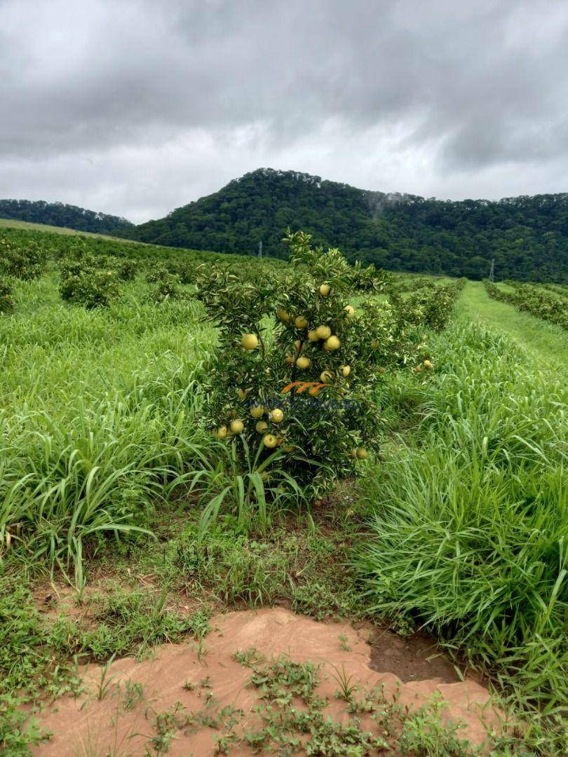 Fazenda à venda, 2250600M2 - Foto 18