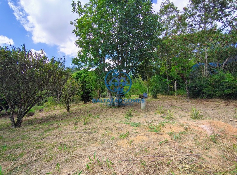 Chácara à venda com 2 quartos, 10000m² - Foto 7