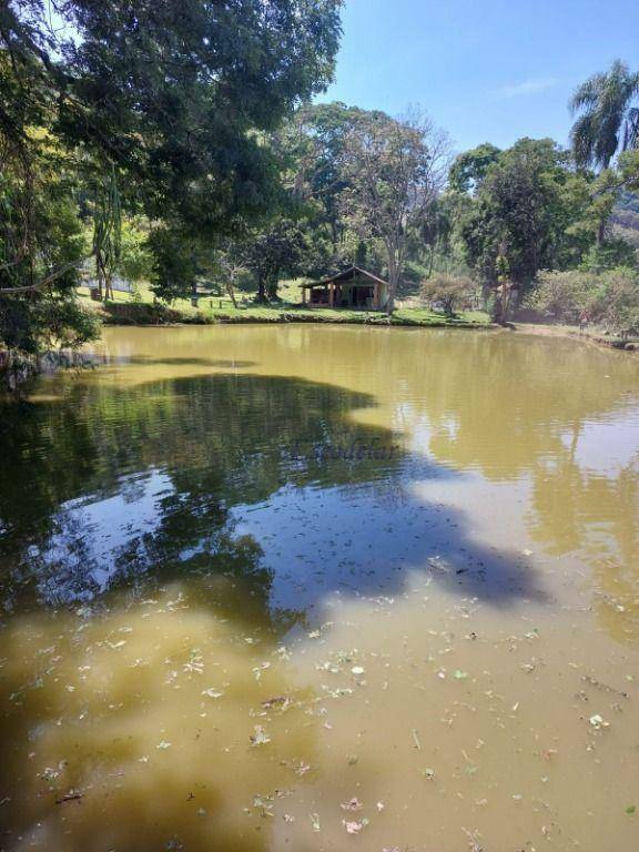 Chácara à venda com 4 quartos, 200m² - Foto 4