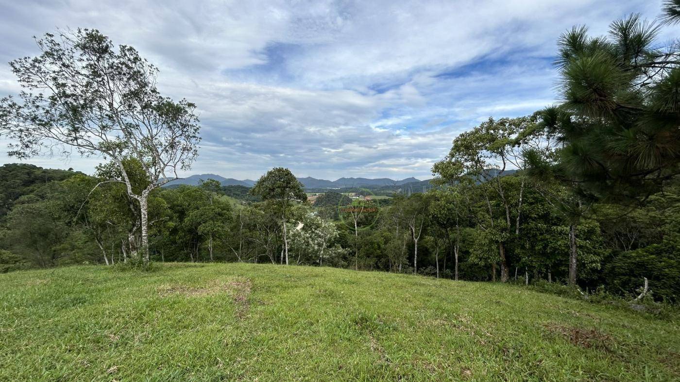 Terreno, 9 hectares - Foto 4