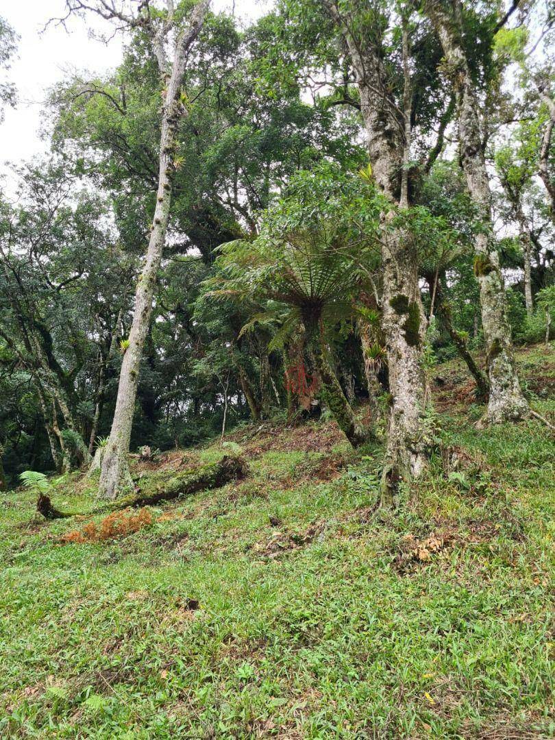 Terreno à venda, 3400M2 - Foto 5