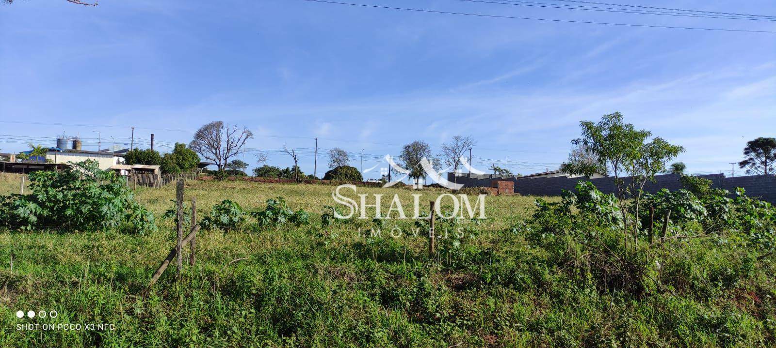 Terreno à venda, 5000M2 - Foto 3