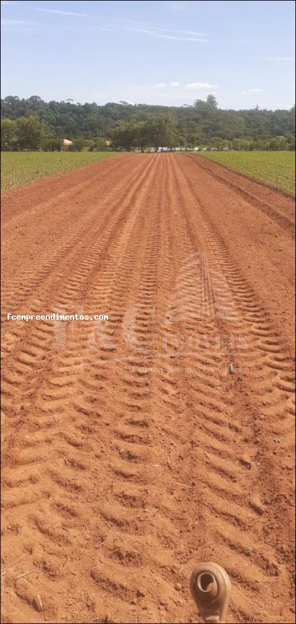 Terreno à venda, 64000m² - Foto 5