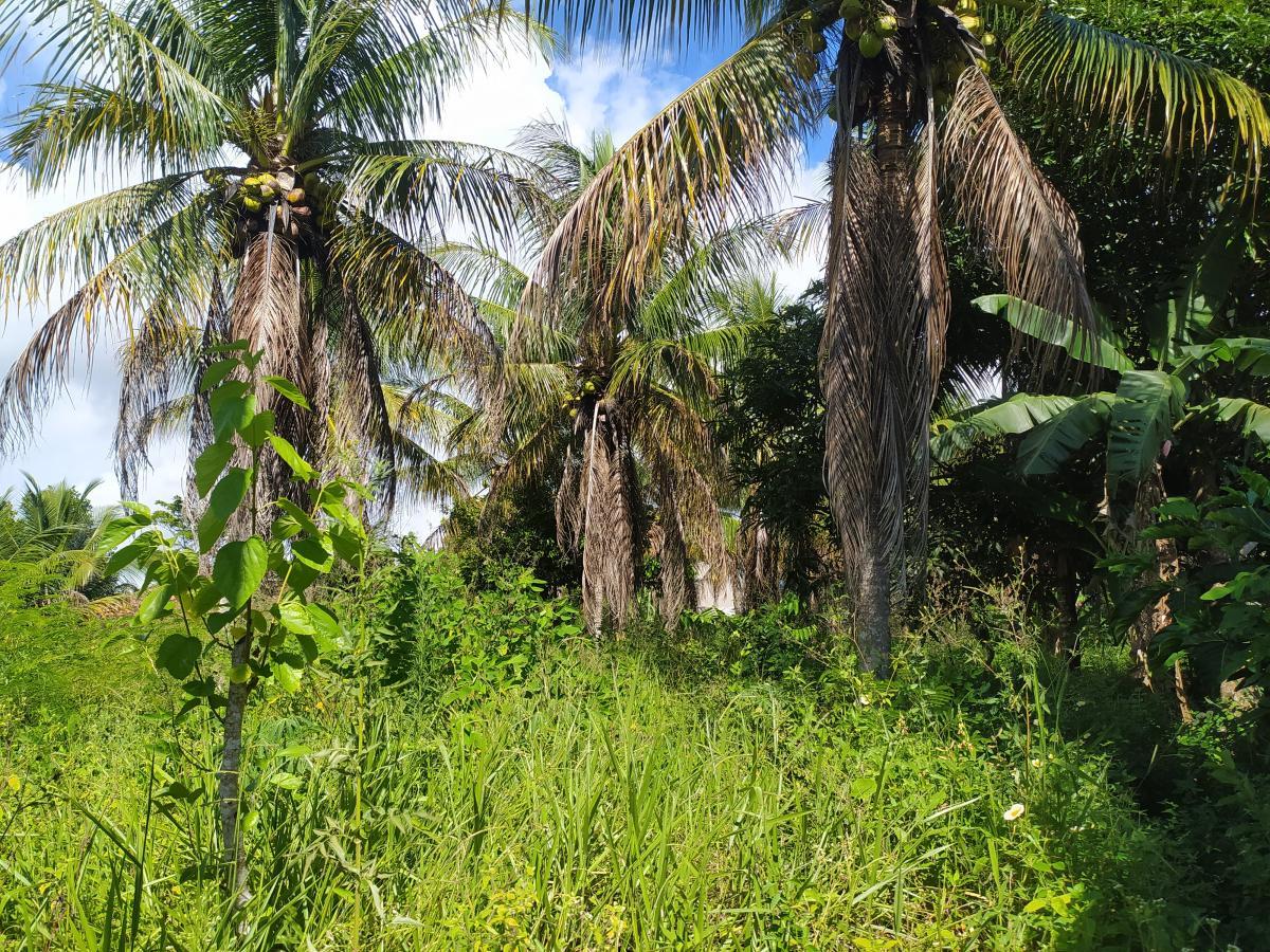 Terreno, 924 m² - Foto 5