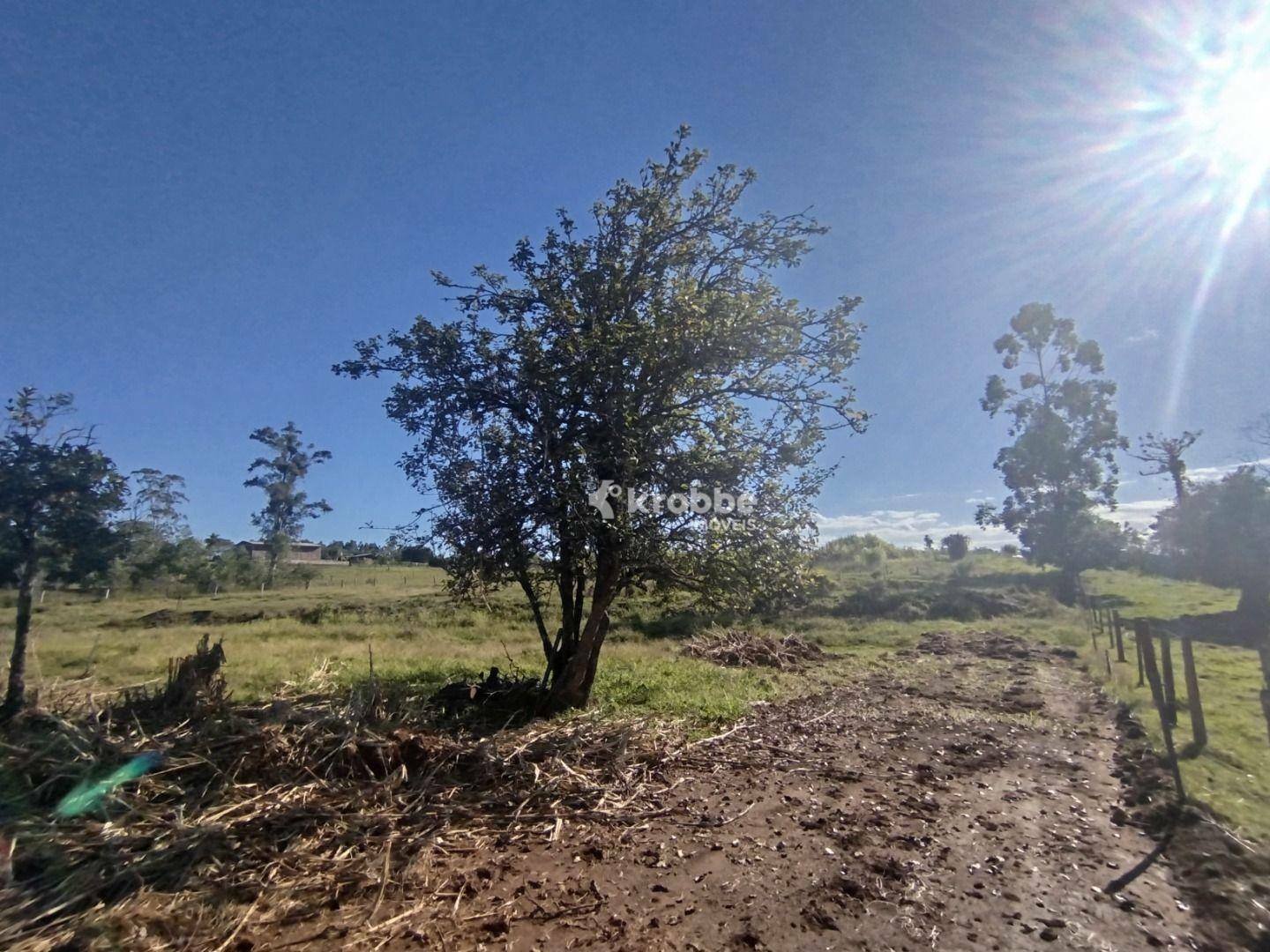 Chácara à venda com 2 quartos, 16000M2 - Foto 6