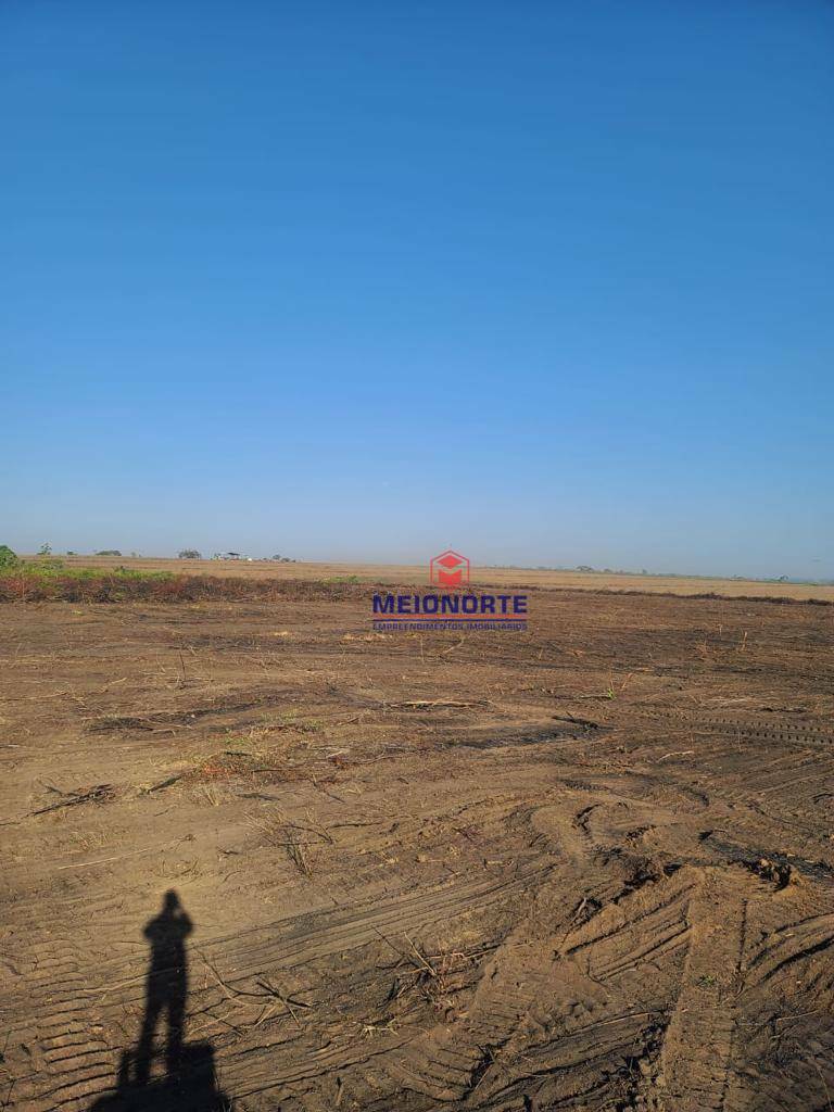 Fazenda à venda com 1 quarto, 12390000M2 - Foto 13