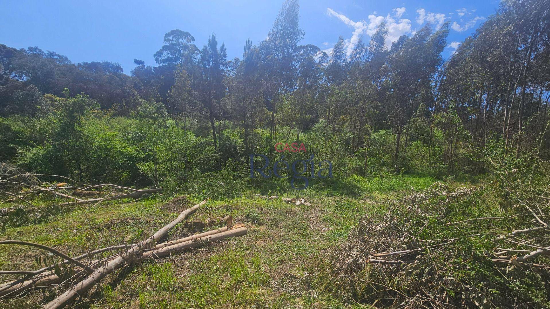 Terreno à venda, 1348M2 - Foto 4