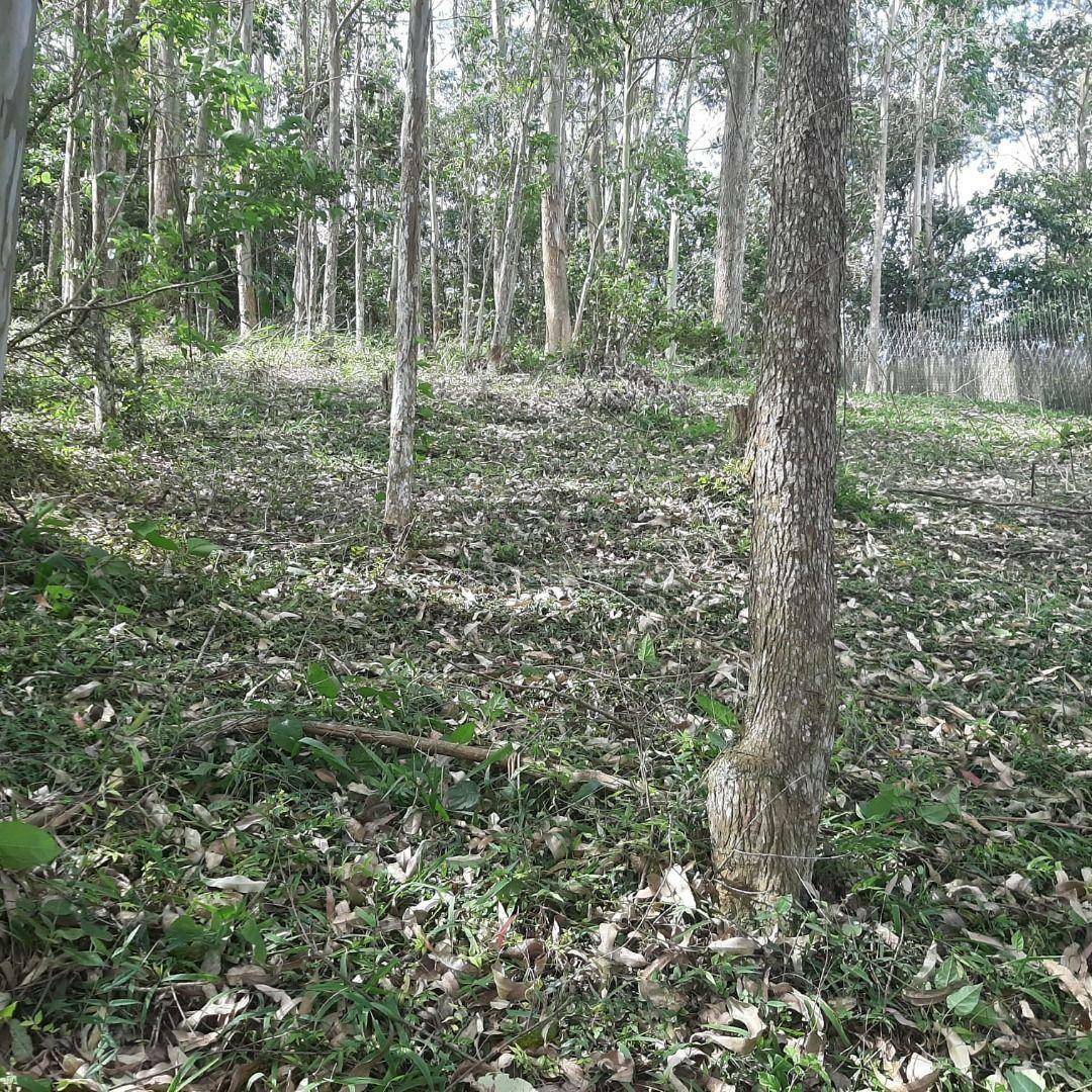 Loteamento e Condomínio à venda, 800M2 - Foto 11