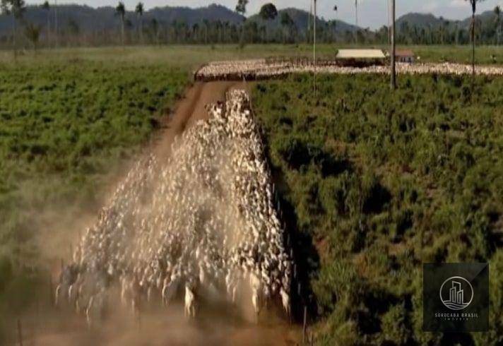 Fazenda à venda, 4270000000M2 - Foto 3