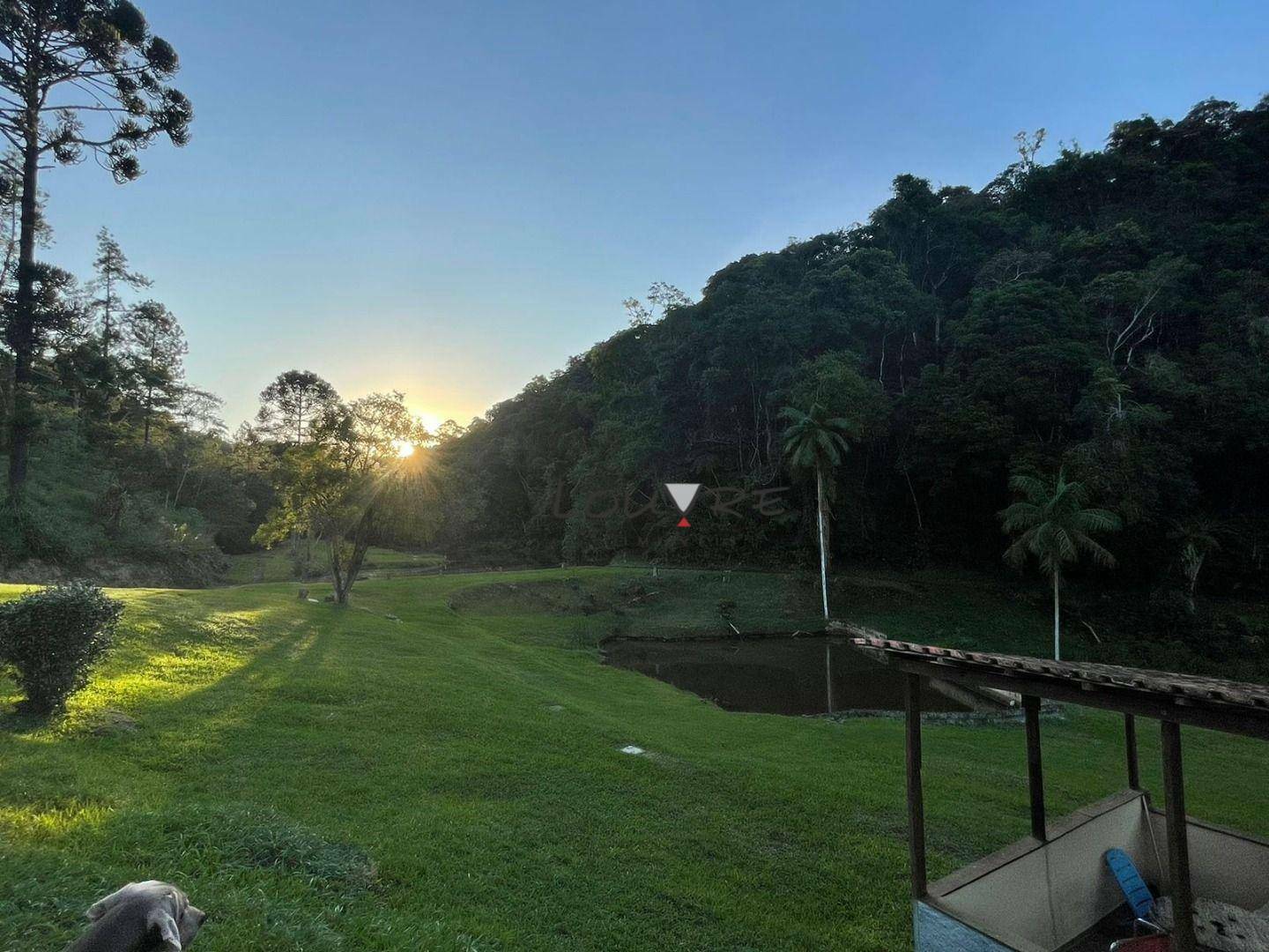 Sítio à venda com 3 quartos, 14000M2 - Foto 23