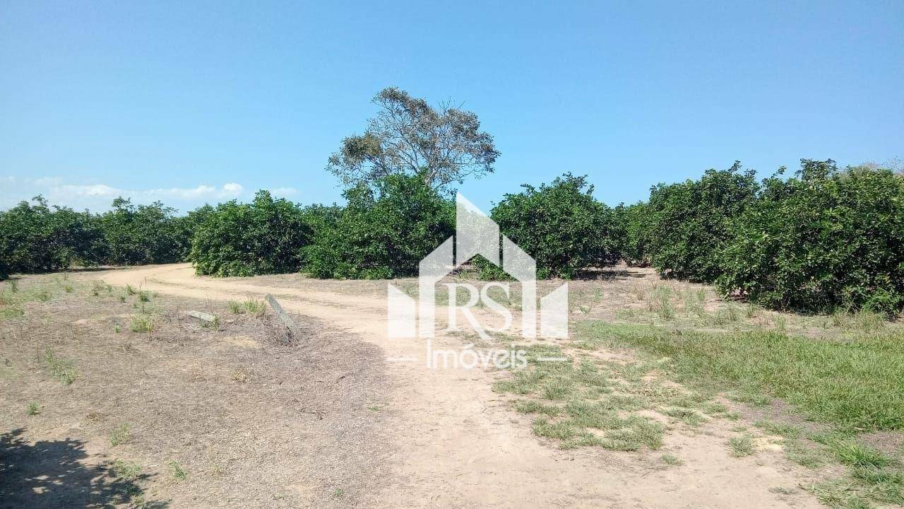 Fazenda à venda com 3 quartos, 1000000M2 - Foto 2