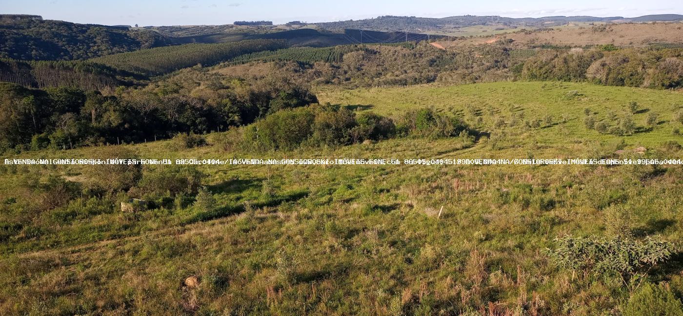 Fazenda à venda com 3 quartos, 191120m² - Foto 8