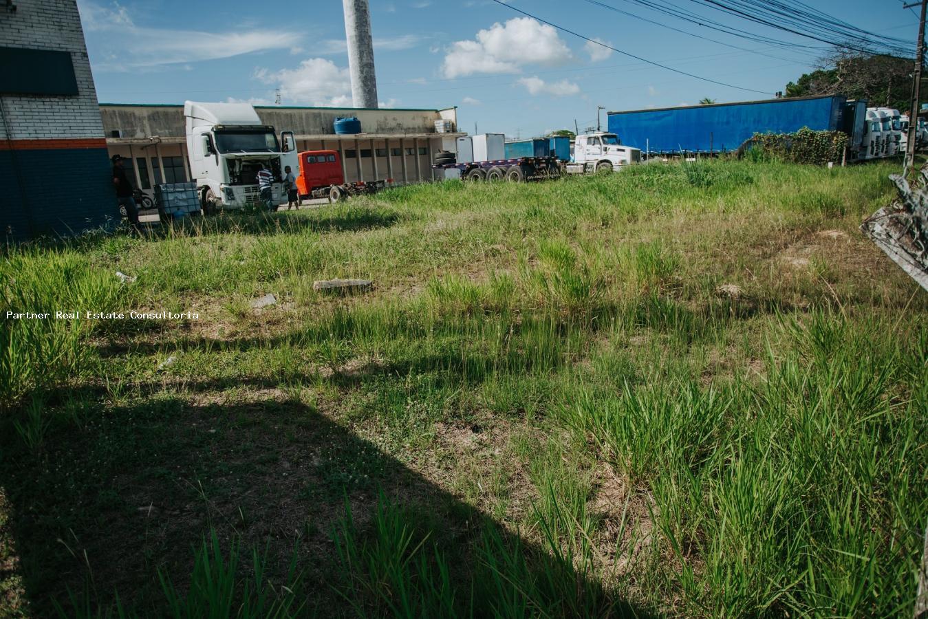 Depósito-Galpão-Armazém à venda, 31000m² - Foto 5