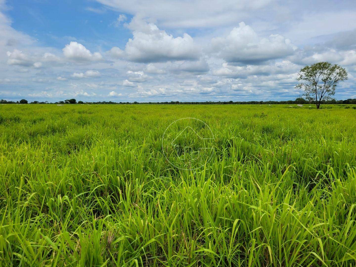 Fazenda à venda, 61350000M2 - Foto 4