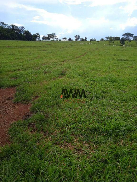 Fazenda à venda, 1597200M2 - Foto 11