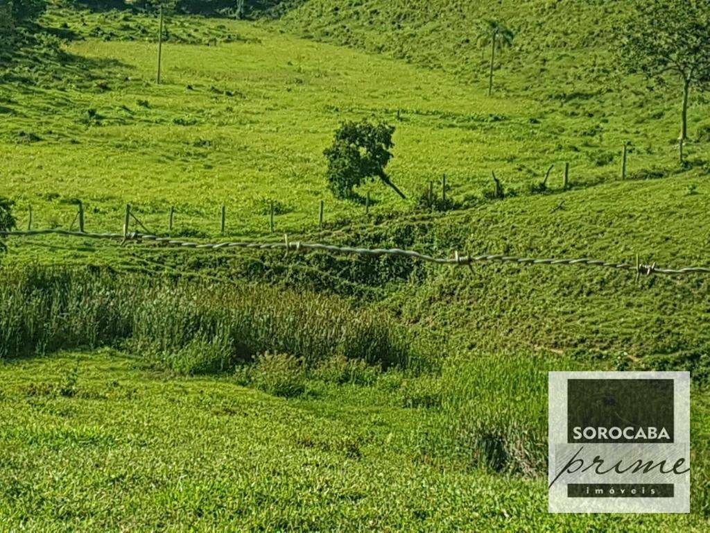 Fazenda à venda, 202000M2 - Foto 10