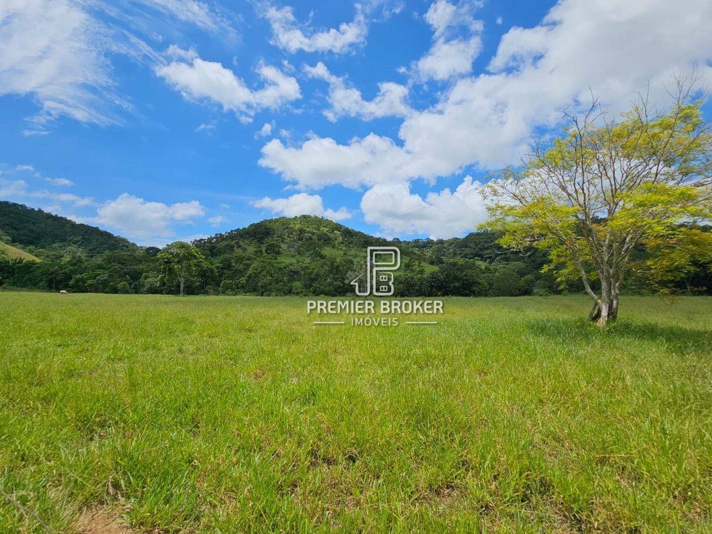 Fazenda à venda com 3 quartos, 250m² - Foto 13