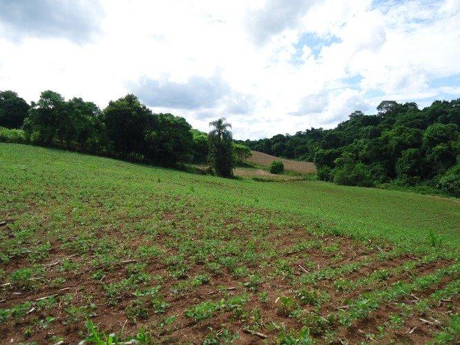 Fazenda à venda - Foto 3