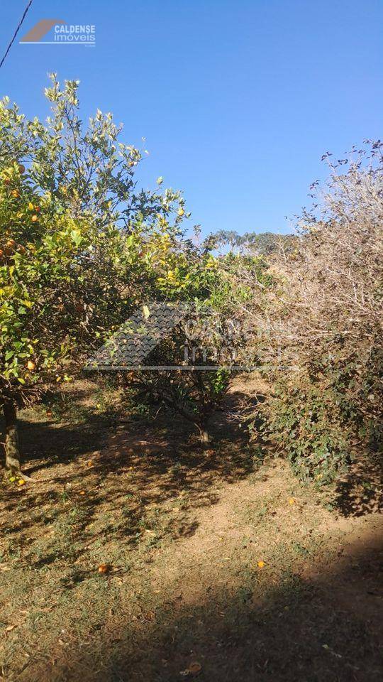 Chácara, 3 quartos, 1 hectares - Foto 4