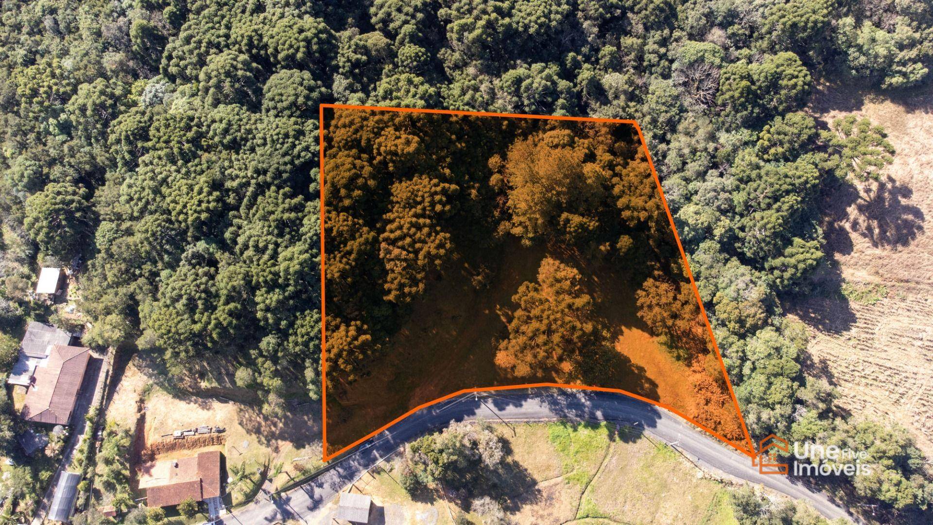 Terreno, 3799 m² - Foto 5