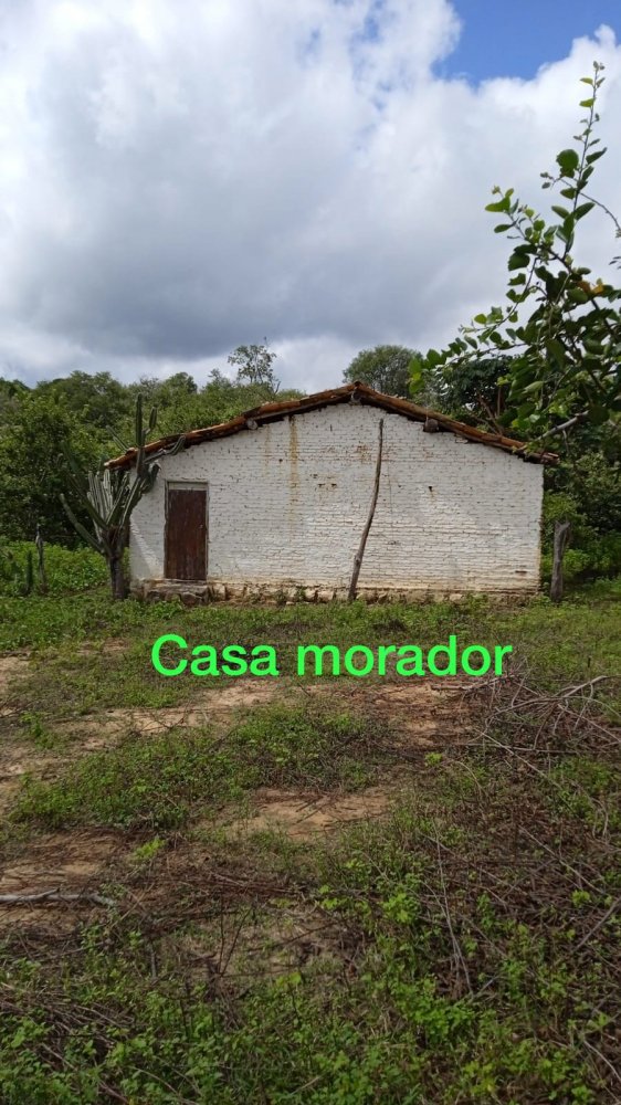 Fazenda à venda, 70m² - Foto 7