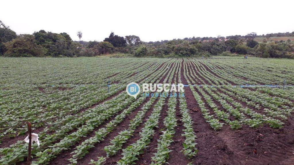 Fazenda à venda com 11 quartos, 440000M2 - Foto 83