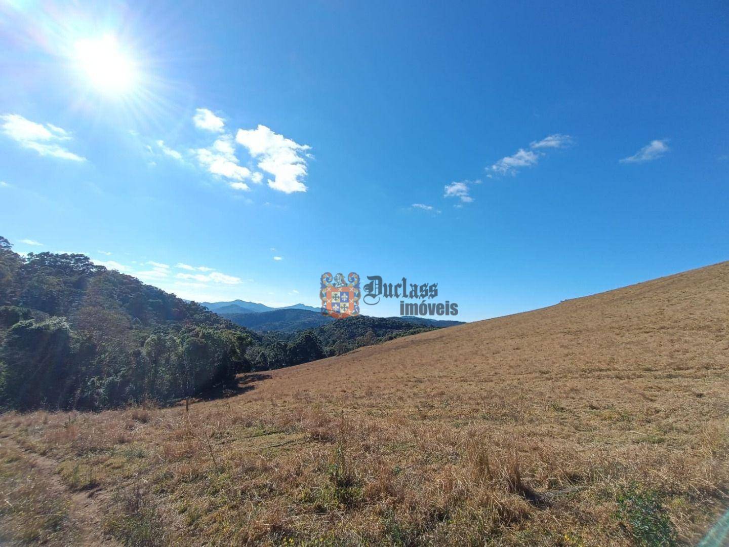 Terreno, 15 hectares - Foto 11