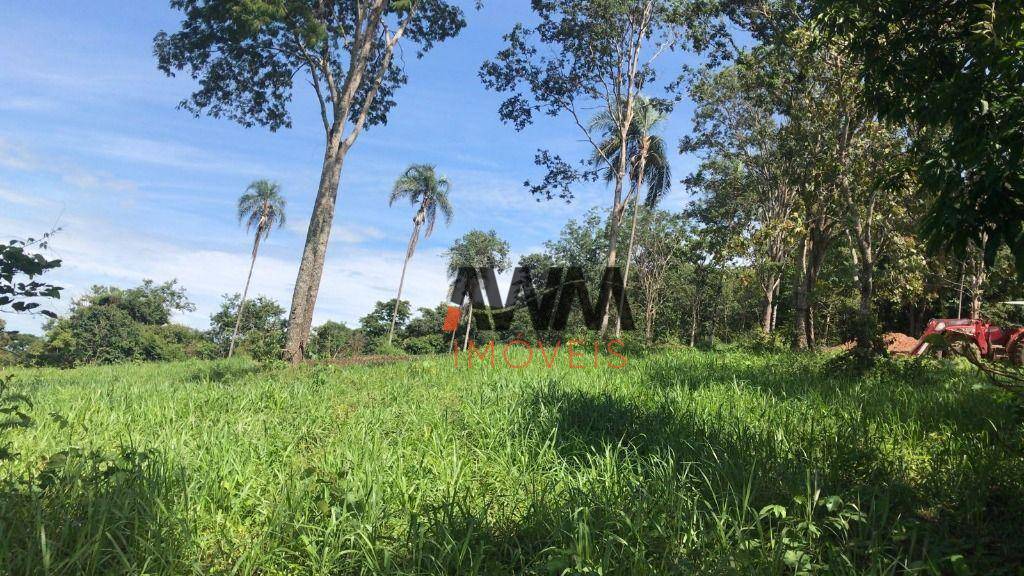 Fazenda-Sítio-Chácara, 150 hectares - Foto 1