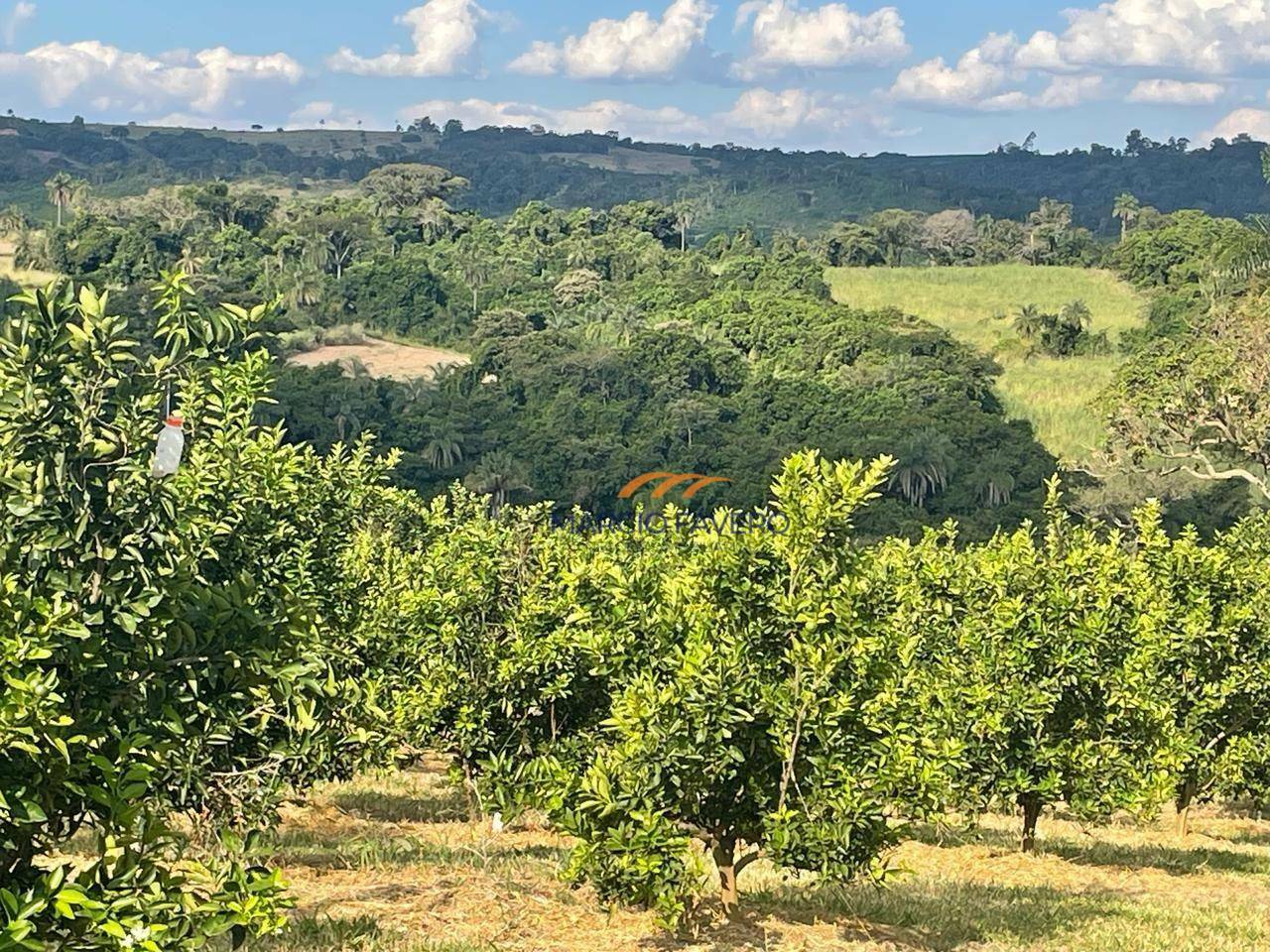 Fazenda à venda, 2274800M2 - Foto 12