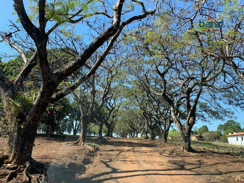 Haras e Área Rural Padrão à venda com 8 quartos, 1000m² - Foto 28